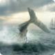 Moby Dick v1.0.6 MOD APK (Unlocked Map/High Damage)